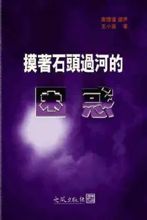 《摸著石頭過河的困惑》封面